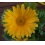 Userbild von MMotte